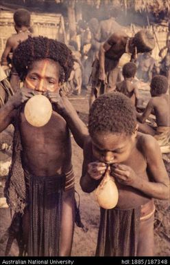 Children using pig insides