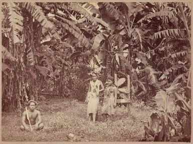 Three people amongst the trees. From the album: Tahiti, Samoa and New Zealand scenes