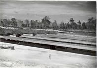 Ninth General Hospital. World War II. Biak Island.