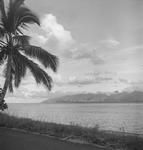 Scenery Tahiti