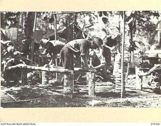 SIAR, NEW GUINEA. 1944-06-26. TROOPS BUILDING CAMP BEDS IN THE CAMP AREA OF B COMPANY, 57/60TH INFANTRY BATTALION. IDENTIFIED PERSONNEL ARE:- VX142239 PRIVATE J.W.A FRASER (1); V155861 PRIVATE E.W. ..