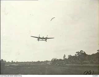 AITAPE, NORTH EAST NEW GUINEA. 1944-04-24. AN AMERICAN LOCKHEED LIGHTNING FIGHTER AIRCRAFT COMING IN TO LAND ON THE TADJI AIRSTRIP, FORTY EIGHT HOURS AFTER ENGINEERS OF NO. 62 WORKS WING RAAF ..