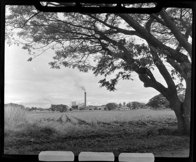 View across the sugar cane fields to the sugar mill, Lautoka, Fiji