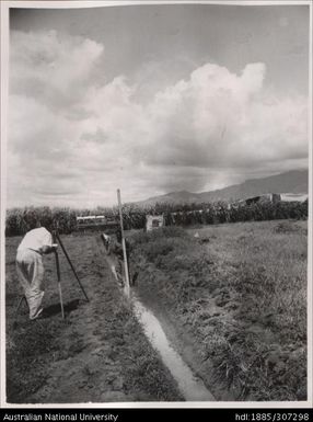 Irrigation for cane crops