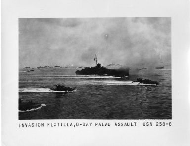 Invasion Flotilla - Palau