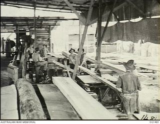 MILNE BAY, PAPUA. C. 1944-02. RAAF AIRMEN FEEDING TIMBER CUT FROM THE JUNGLE, TO SAWS IN A SAWMILL