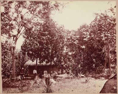 Outside in the shade. From the album: Tahiti, Samoa and New Zealand scenes