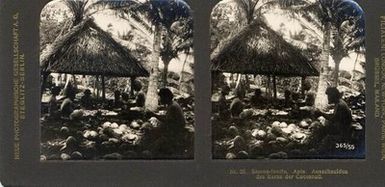 ["Samoa-Inseln, Apia, Ausschneiden des Kernes der Cocosnuss."]