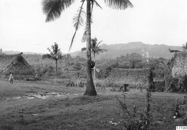 ["landskap, hus, by, fotografi, photograph"]