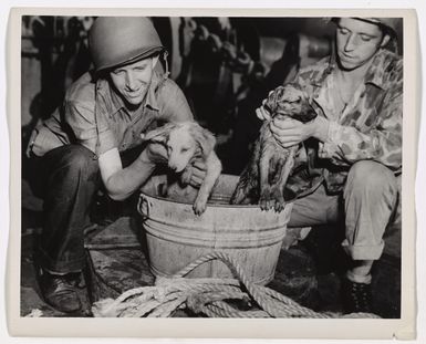 Devil Dogs Take A Tubbing On The Way To Guam