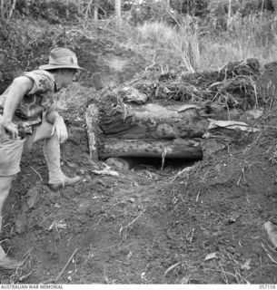 SOGERI VALLEY, NEW GUINEA. 1943-09-24. NX134018 SERGEANT N. J. KING, INSTRUCTOR OF THE NEW GUINEA FORCE TRAINING SCHOOL INSPECTING THE RESULTS OF AN ATTACK AGAINST A PILLBOX WITH A PROJECTOR ..