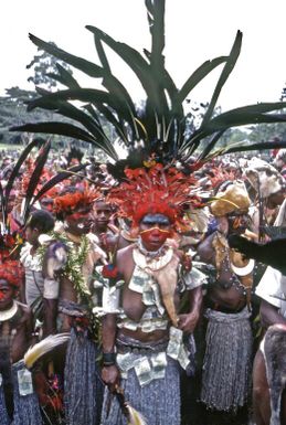 Bride wearing traditional headgear and decorated with bank notes, Papua New Guinea, approximately 1968 / Robin Smith