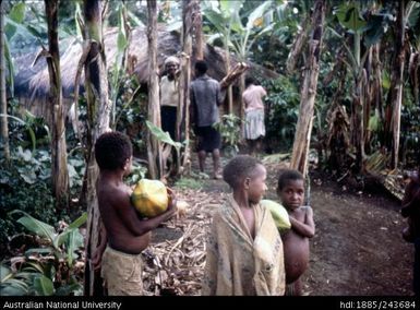 Children carrying fruit