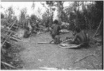 Pig festival, wig ritual, Tsembaga: boys extract pandanus oil to be rubbed on wigged men's skin