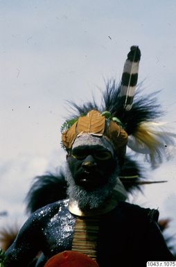 ["huvudbonad, fotografi, photograph"]