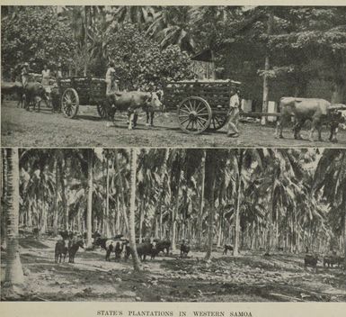 State's plantations in Western Samoa