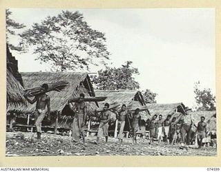 MALAMAL, NEW GUINEA. 1944-07-13. NATIVES BRINGING BUNDLES OF SAGO PALM FRONDS IN TO THE AUSTRALIAN NEW GUINEA ADMINISTRATIVE UNIT NATIVE LABOUR COMPOUND UNDER THE SUPERVISION OF N393309 LIEUTENANT ..