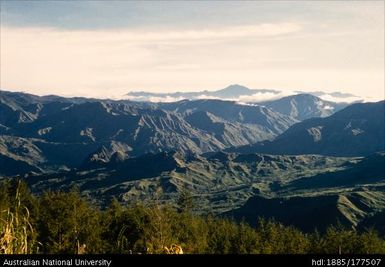 Lufa - adjoining 114