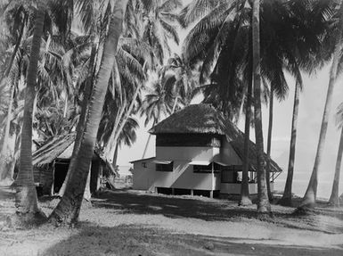 [Buildings amongst  palm trees in Tahiti]