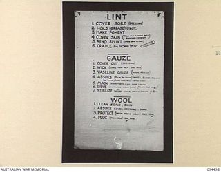 LAE AREA, NEW GUINEA, 1945-08-03. A "PIDGIN" ENGLISH CHART USED FOR THE INSTRUCTION OF NATIVE REGIMENTAL AID POST ORDERLIES. THE PHOTOGRAPH WAS MADE AT THE REQUEST OF HEADQUARTERS AUSTRALIAN NEW ..