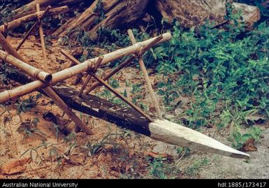 Ratagitagi, canoe outrigger