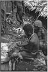 Dispute in Tuguma: men butcher a neighboring group's pig, killed for damaging a garden