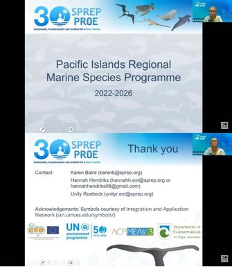 Marine Species Programme webinar