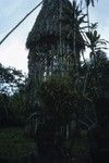 A ritual structure