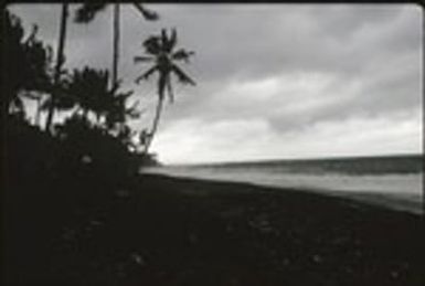 Beach scene landscape