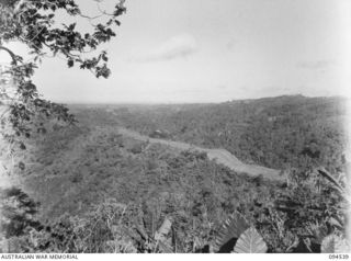 YAMIL 2, NEW GUINEA, 1945-07-23. THE ROAD MAINTAINED BY 2/4 FIELD COMPANY, ROYAL AUSTRALIAN ENGINEERS, WHICH IS THE FINAL LINK BETWEEN YAMIL AND MAPRIK, ON A RIDGE RUNNING FROM YAMIL 3 TO YAMIL 2. ..