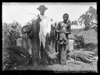 Good Crop of Yams