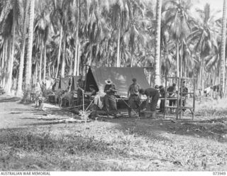 MADANG, NEW GUINEA. 1944-06-17. PIONEERS OF 58/59TH INFANTRY BATTALION ERECTING HEADQUARTERS COMPANY TENTS. THE UNIT IS LOCATED AT SIAR PLANTATION. LEFT TO RIGHT: VX102801 SERGEANT (SGT) S. A. ..