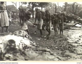 TAMIGUDU AREA, NEW GUINEA. 1944-05-12. TAMIGUDU NATIVES CARRYING FRUIT AND VEGETABLES FROM NATIVE GARDENS TO THE BEACH. MOST OF THE WORK IS DONE BY NATIVE WOMEN WHO CARRY PRODUCE IN A "BILLUM" ..