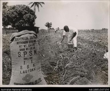 Farmer spreading Ammonium Sulphate