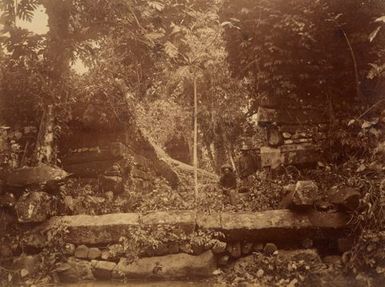 Ruins Pohnpei. From the album: Views in the Pacific Islands