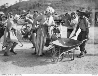 PORT MORESBY, NEW GUINEA. 1944-04-23. COMPETITORS IN THE "GRETNA GREEN" NOVELTY EVENT "COAXING" THEIR "CHOICES" INTO BARROWS FOR THE FINAL RUN TO THE "PARSON" DURING THE 2/101ST GENERAL TRANSPORT ..