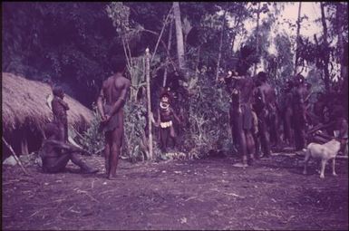 Initiation of the boys (2) : singsing ground of the Kukiga Clan, Wahgi Valley, Papua New Guinea, 1955 / Terence and Margaret Spencer
