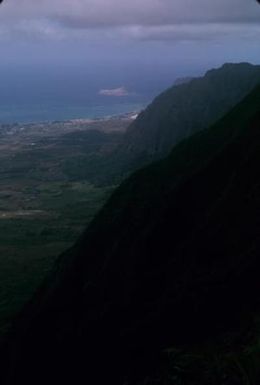 [Landscape view of densely forested cliff and coastline in Wiliwilinui Ridge, United States]