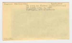 [Eugenia vieillardii in New Caledonia, envelope IE41-192]