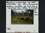 Rusting wreckage of Japanese vehicles, native owners of land have planted new stand of coconuts at this point, at Buin, Bougainville, [Papua New Guinea], 1963