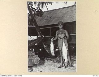 PALMALMAL PLANTATION, JACQUINOT BAY, NEW BRITAIN, 1945-08-14. COLONEL A.L. NYMAN, GENERAL STAFF OFFICER 1 HEADQUARTERS 11 DIVISION STANDING PROUDLY WITH THE LAST FISH HE CAUGHT DURING WARTIME