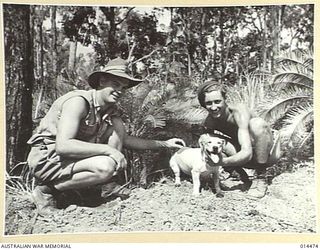 1943-03-22. NORTHERN AUSTRALIA. THE RAAF BUILDS ITS OWN AERODROMES. THE BATTLE OF THE BISMARCK SEA HAS PROVED BEYOND ALL DOUBT THE EFFICIENCY OF AIR POWER IN THE STRUGGLE AGAINST JAPAN. ONE OF THE ..