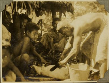 Preparing a pig for a Samoan feast, 1928