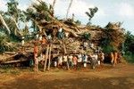 Cyclone Nigel, Waileni on the Banyan 2 of 2