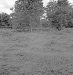 Sapalili'i (Beatham plantation) enclosure, mound inside.