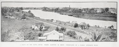 A scene on the Navua River, where dairying is being undertaken on a fairly extensive scale