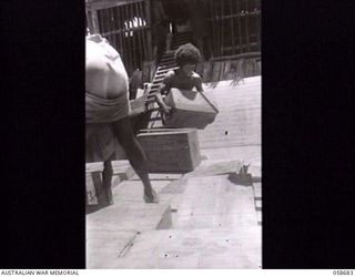 TERAPO, NEW GUINEA. 1943-09-16. NATIVES USING GRAVITY ROLLERS TO LOAD AUSTRALIAN LANDING CRAFT VEHICLES FROM THE AUSTRALIAN ARMY SERVICE CORPS STORE