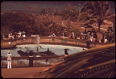 SEA LIFE PARK, LIKE PARADISE PARK, IS A COMMERCIAL ENTERPRISE BUILT IN A CONSERVATION ZONE. AN EXTENSIVE COLLECTION OF MARINE LIFE RANGING FROM ANEMONES TO WHALES IS IMAGINATIVELY DISPLAYED. THE STATE DEPARTMENT OF LAND AND NATURAL RESOURCES CONTROLS LAND USE IN CONSERVATION DISTRICTS WHICH ARE PRIMARILY FOREST AND WATER RESERVE LANDS