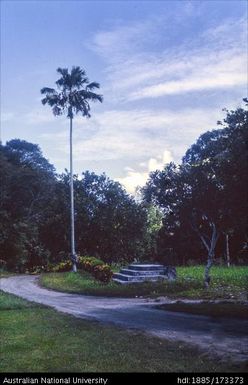 Flagpole at Ralum Plantation, near Kokopo