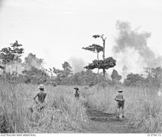 1942-12-08. NEW GUINEA. GONA. ALLIED PLANES BOMB JAPANESE POSITIONS IN THE BUSH NEAR GONA. BOMBS WERE RELEASED WHILE THE PLANES WERE STILL A FEW HUNDRED YARDS BEHIND THE AUSTRALIAN FRONT LINES. ..